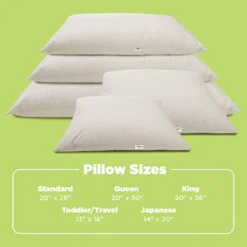 Bean Products Travel/Toddler Organic Kapok Pillow + Natural Org Case - 13" X 18" - Organic Cotton Zippered Shell - Made In USA -Amazon Basics Furniture Shop 312coBmNDQL