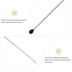 Baluue Wedding Decor Wedding Decor Wedding Decor 200Pcs Stainless Steel Specimen Entomology Dissection Collections Needle For School Collectors Wedding Stuff Wedding Stuff Wedding Stuff -Amazon Basics Furniture Shop 31QM87vdkfS