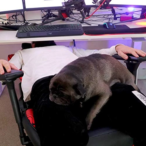 CLUTCH CHAIRZ Pewdiepie Chair - Ergonomic Gaming Chair, Video Game Chairs, Office Chair, High Chair And Lumbar Pillow For Computer Desk - Black - Throttle Seriesk - Black - Throttle Series 5 CLUTCH CHAIRZ Pewdiepie Chair - Ergonomic Gaming Chair, Video Game Chairs, Office Chair, High Chair And Lumbar Pillow For Computer Desk - Black - Throttle Seriesk - Black - Throttle Series - Image 5